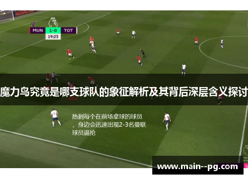 魔力鸟究竟是哪支球队的象征解析及其背后深层含义探讨