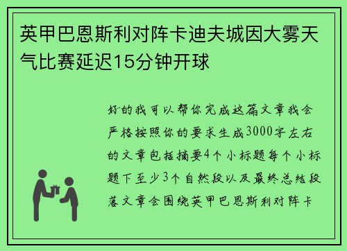 英甲巴恩斯利对阵卡迪夫城因大雾天气比赛延迟15分钟开球