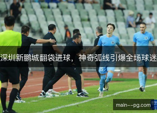 深圳新鹏城翻袋进球,神奇弧线引爆全场球迷 深圳新鹏城翻袋进球,神奇弧线引爆全场球迷
